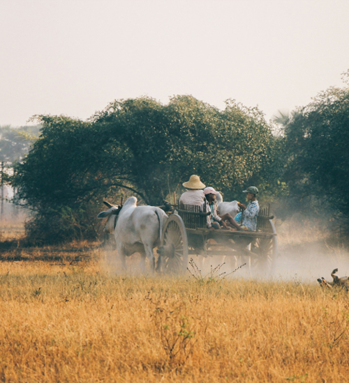 Hanoi Halong Bay Overnight on Junk-1